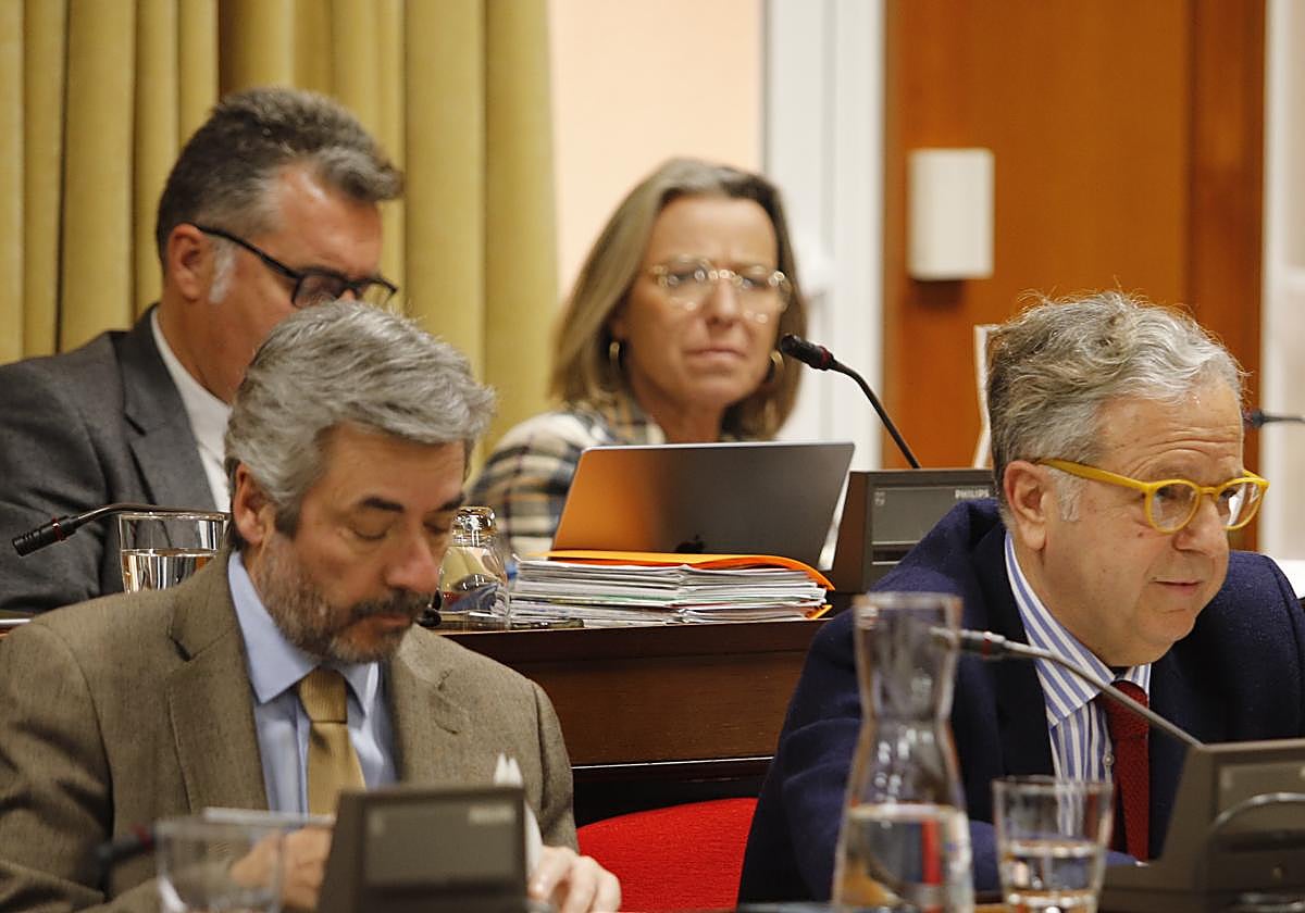 La primera teniente alcalde del Ayuntamiento de Córdoba, Isabel Albás (Cs), al fondo