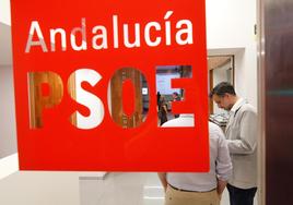 Caso Infraestructuras |El empresario 'comodín' fue portavoz del PSOE en una Junta de Distrito de Córdoba
