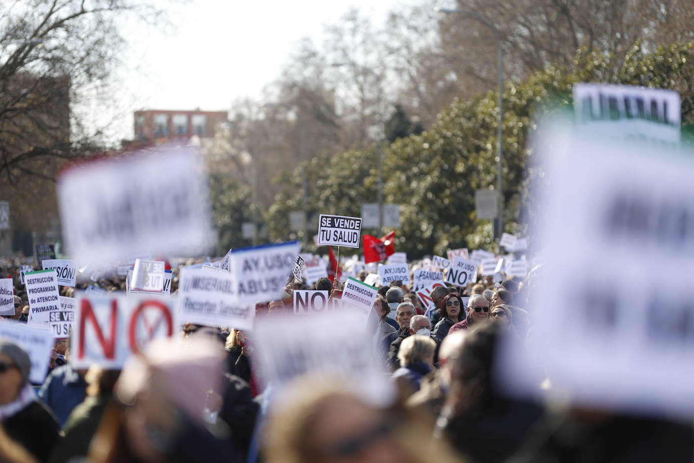 Además de los ciudadanos que han acudido a la protesta, en Cibeles se han personado representantes políticos, sindicales y de entidades sanitarias, además de los profesionales que han decidido sumarse