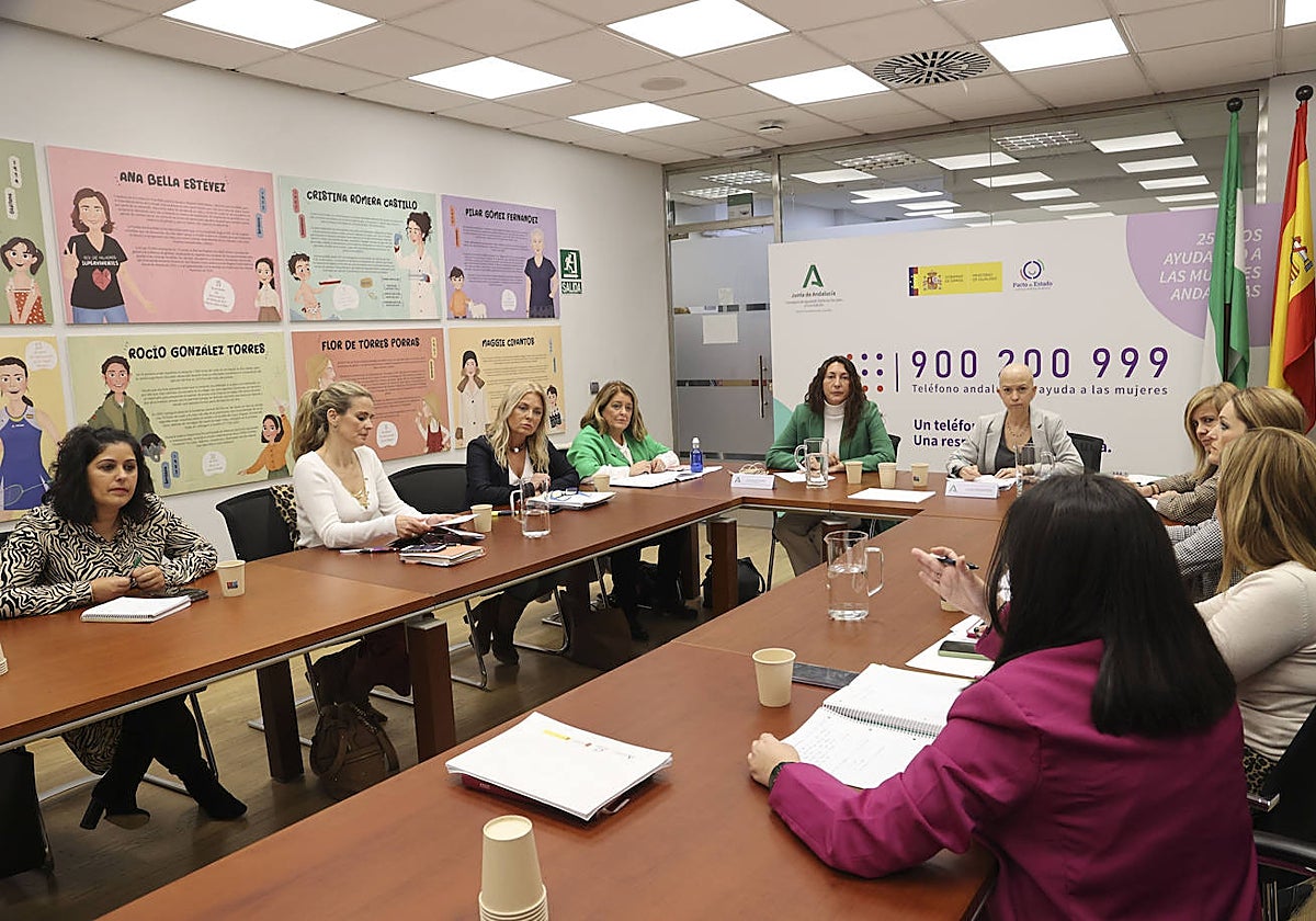 La consejera Loles López preside la reunión de las comisiones de violencia de género