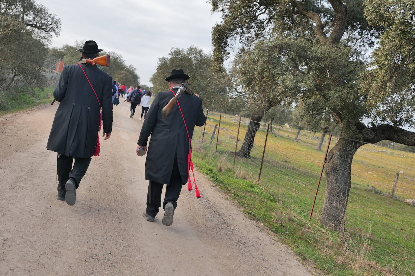 La llegada de la Virgen de Luna a Pozoblanco, en imágenes