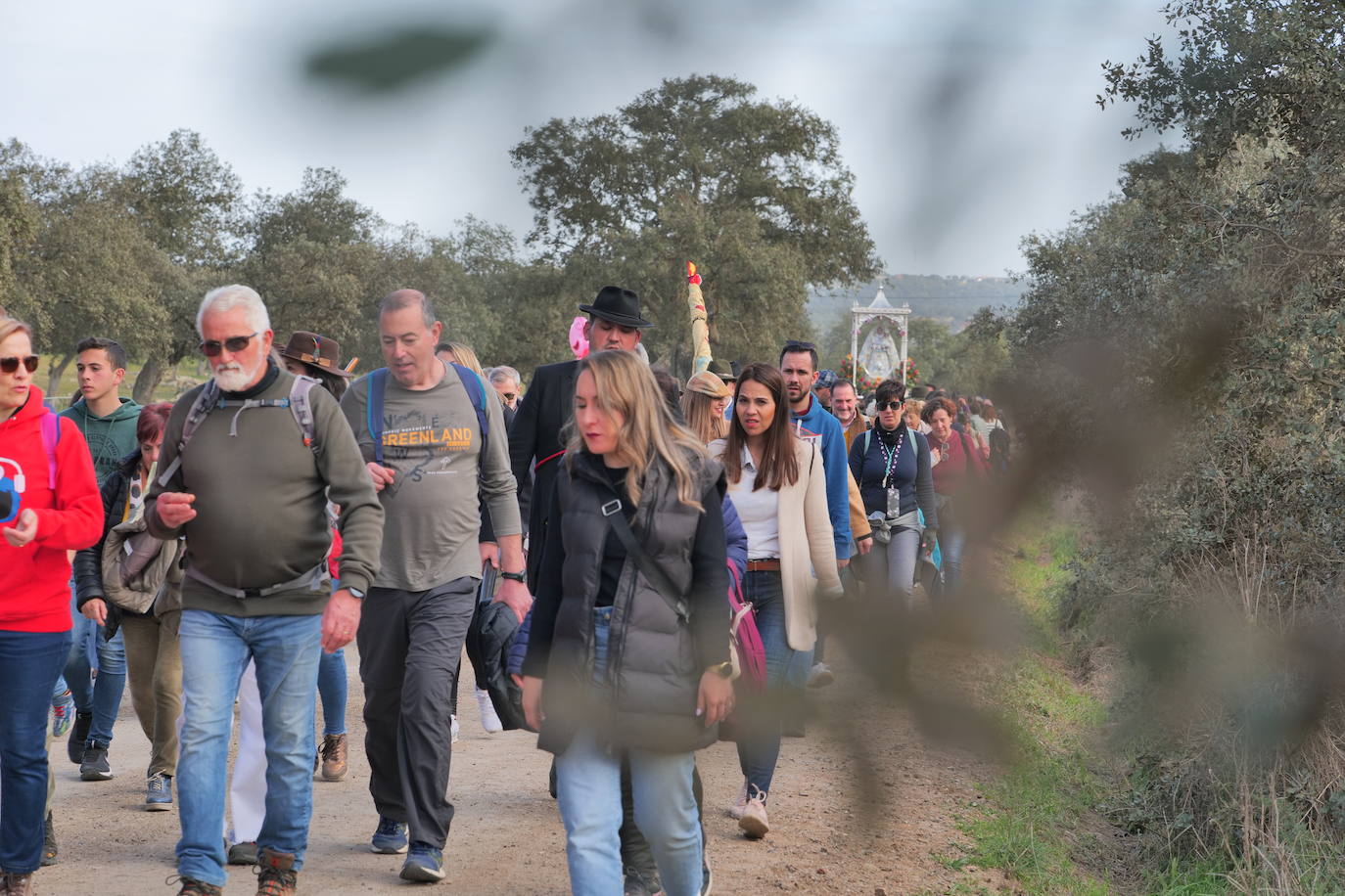 La llegada de la Virgen de Luna a Pozoblanco, en imágenes