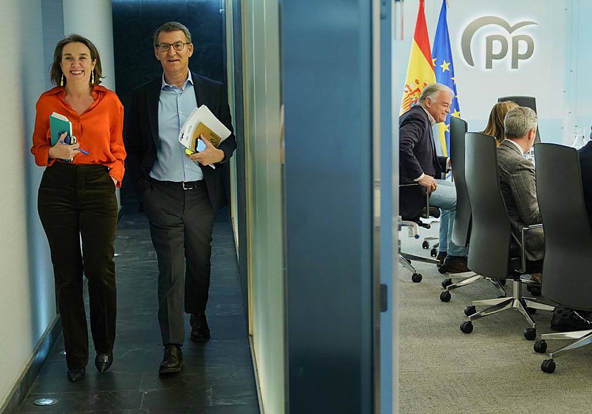 Alberto Núñez Feijóo y Cuca Gamarra, al llegar al Comité de Dirección del PP