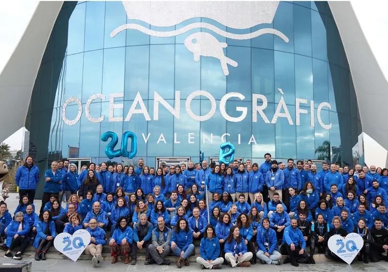 Oceanogràfic Valencia: 20 años cuidando la vida en el mar