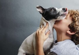 Ley de Bienestar Animal: ¿Cuál es el curso que debes hacer si quieres tener perro en 2023?