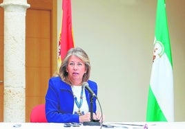 La Audiencia Nacional desvincula otra vez al Ayuntamiento de Marbella de la trama del hijastro de la alcaldesa