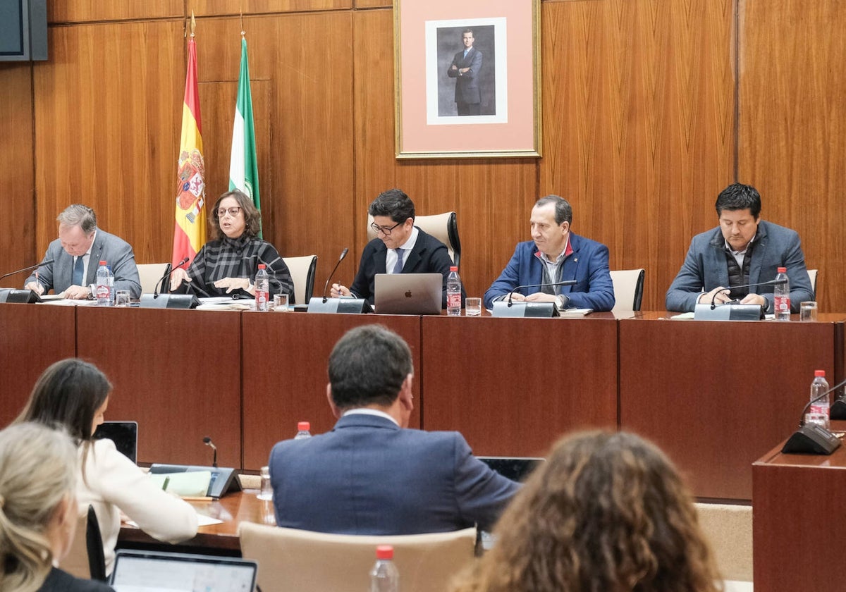 La consejera de Salud, Catalina García, durante su comparecencia en la comisión de salud de este miércoles en el Parlamento