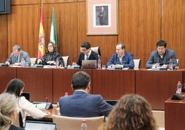 La consejera de Salud afirma que el 47% de los distritos sanitarios de Andalucía atiende en 48 horas en medicina de familia