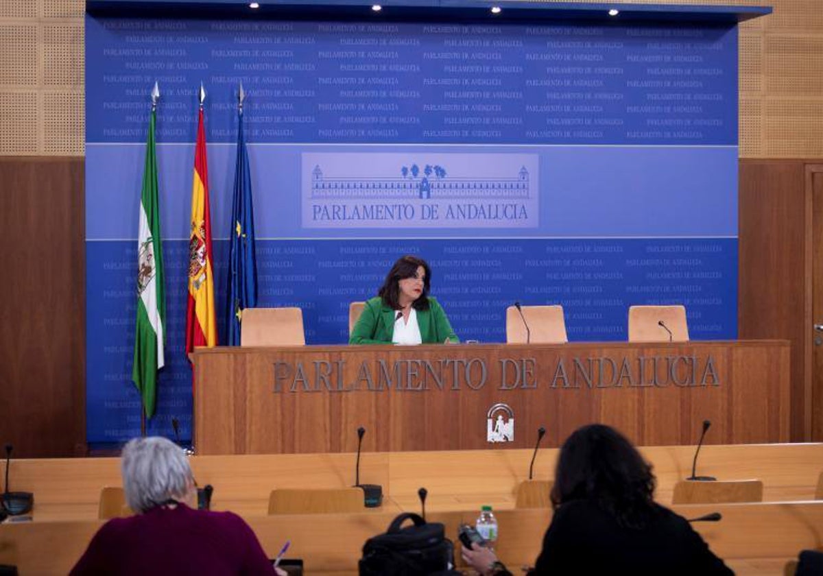 La portavoz socialista, Ángeles Férriz en la sala de prensa del Parlamento este miércoles