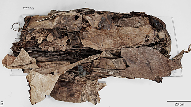 Fardo funerario donde ha sido localizado el material vegetal