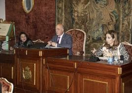 La Diputación de Córdoba pide fondos de la UE para la casa de Romero de Torres