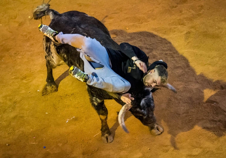 El encierro a caballo de Ciudad Rodrigo deja dos heridos, uno de ellos por asta de toro