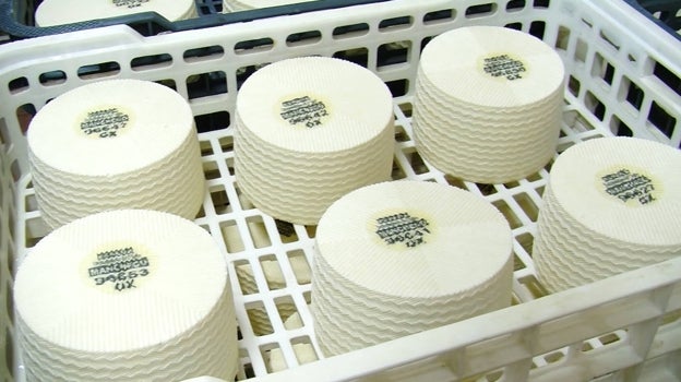 Los daños colaterales de la viruela ovina para el queso manchego