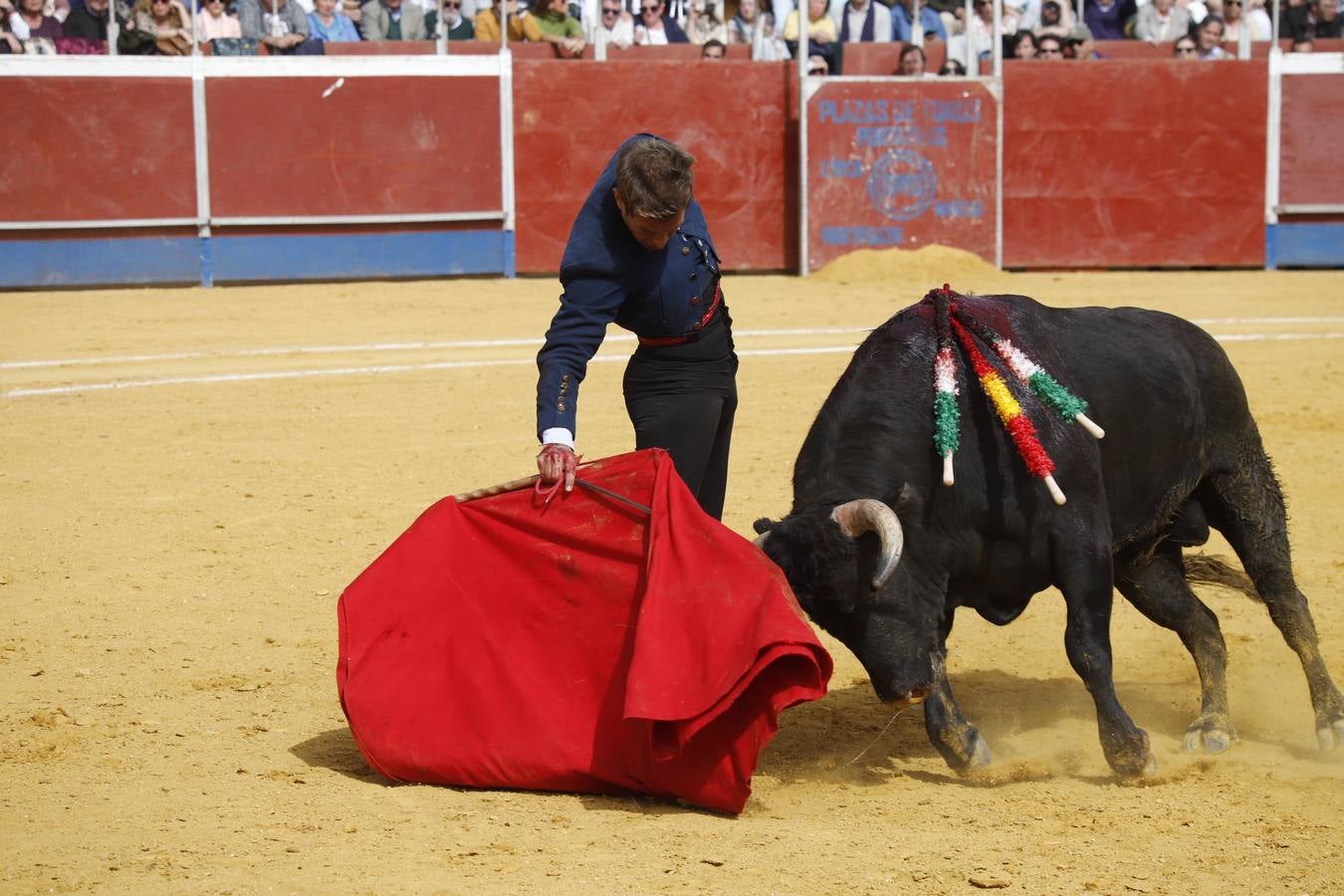 En imágenes, Bujalance abre temporada taurina con un homenaje a El Puri (II)