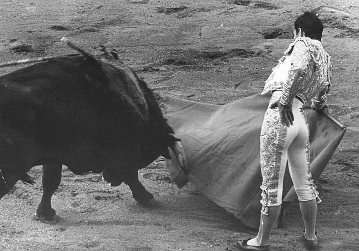 Chamaco, durante una corrida de toros