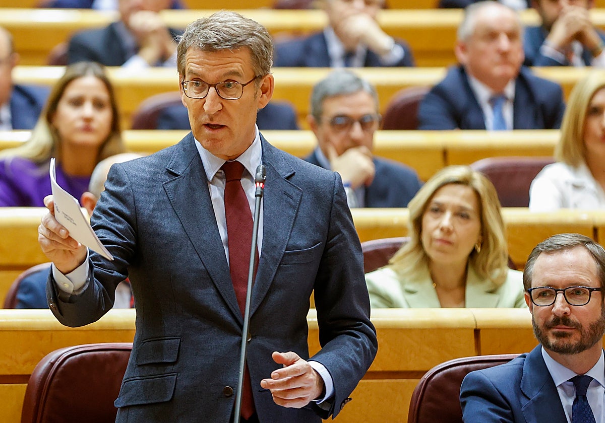 Feijóo, en el Senado