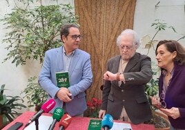 El andalucismo se reivindica ante el 28-F: «La conquista de la autonomía de Andalucía por el PSOE es una 'fake news'»