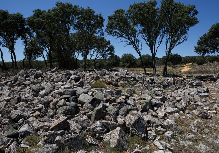 Detenida una banda de expoliadores que había hecho hasta 130 hoyos en el yacimiento de Renieblas (Soria)