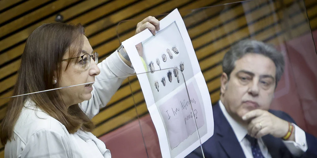 El tamaño de los penes en libros infantiles, a debate en las Cortes