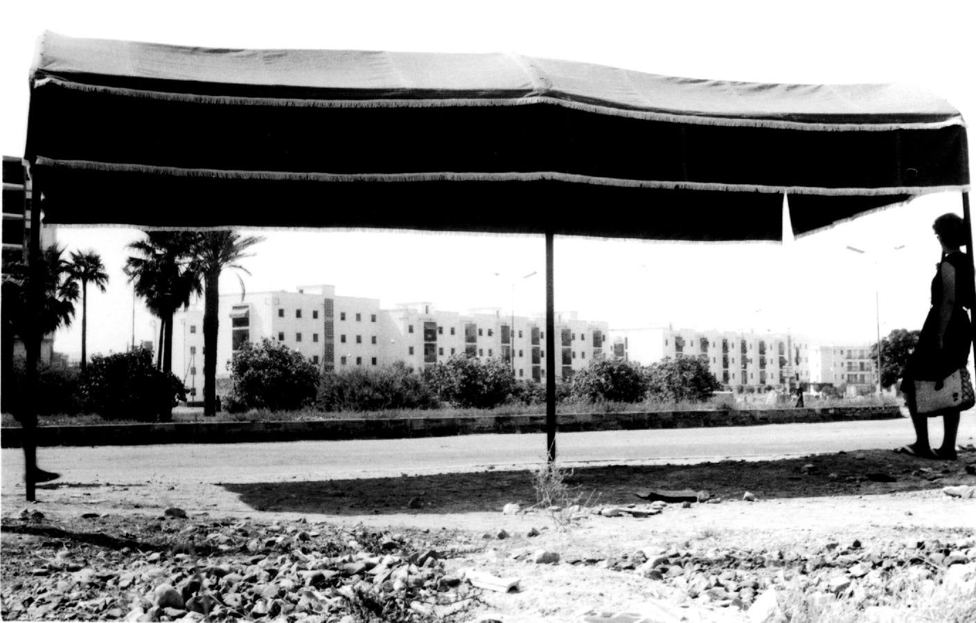 Un curioso viaje en imágenes por los cien años del autobús urbano en Córdoba