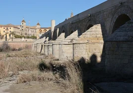 Vídeo | El río Guadalquivir se seca a su paso por Córdoba y vuelve a mínimos históricos