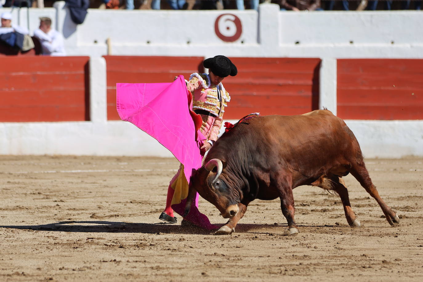 El triunfo de Manuel Román en su debú con picadores, en imágenes