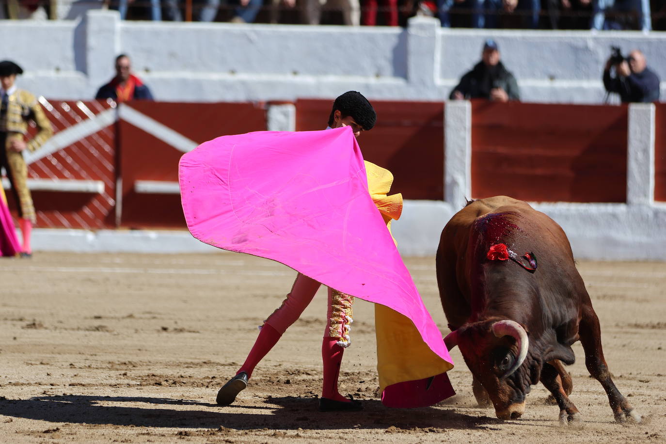El triunfo de Manuel Román en su debú con picadores, en imágenes