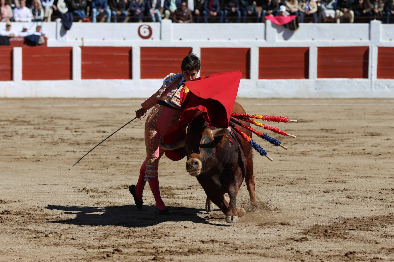 El triunfo de Manuel Román en su debú con picadores, en imágenes