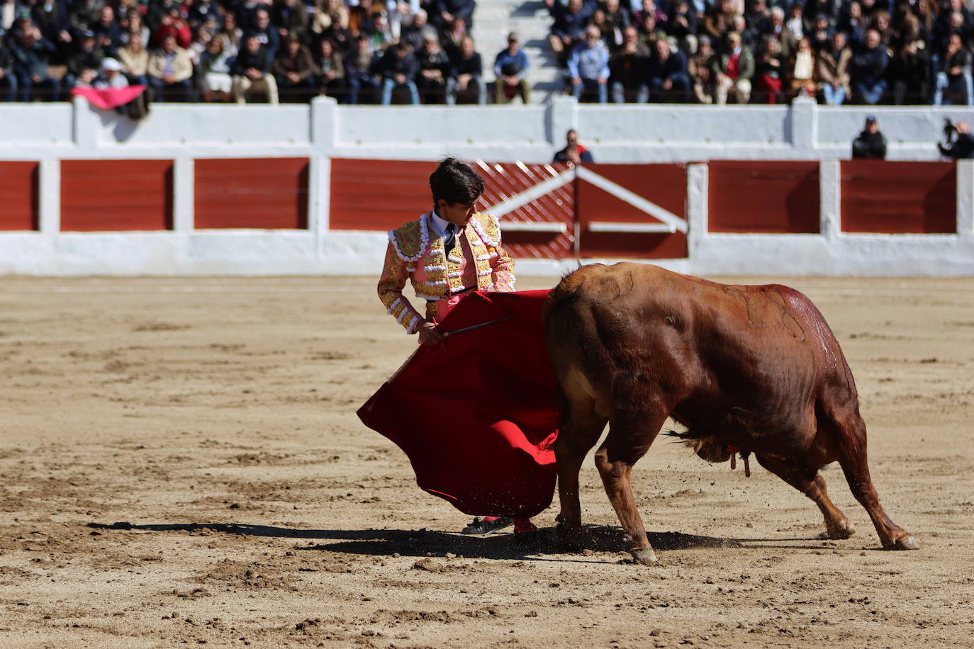El triunfo de Manuel Román en su debú con picadores, en imágenes