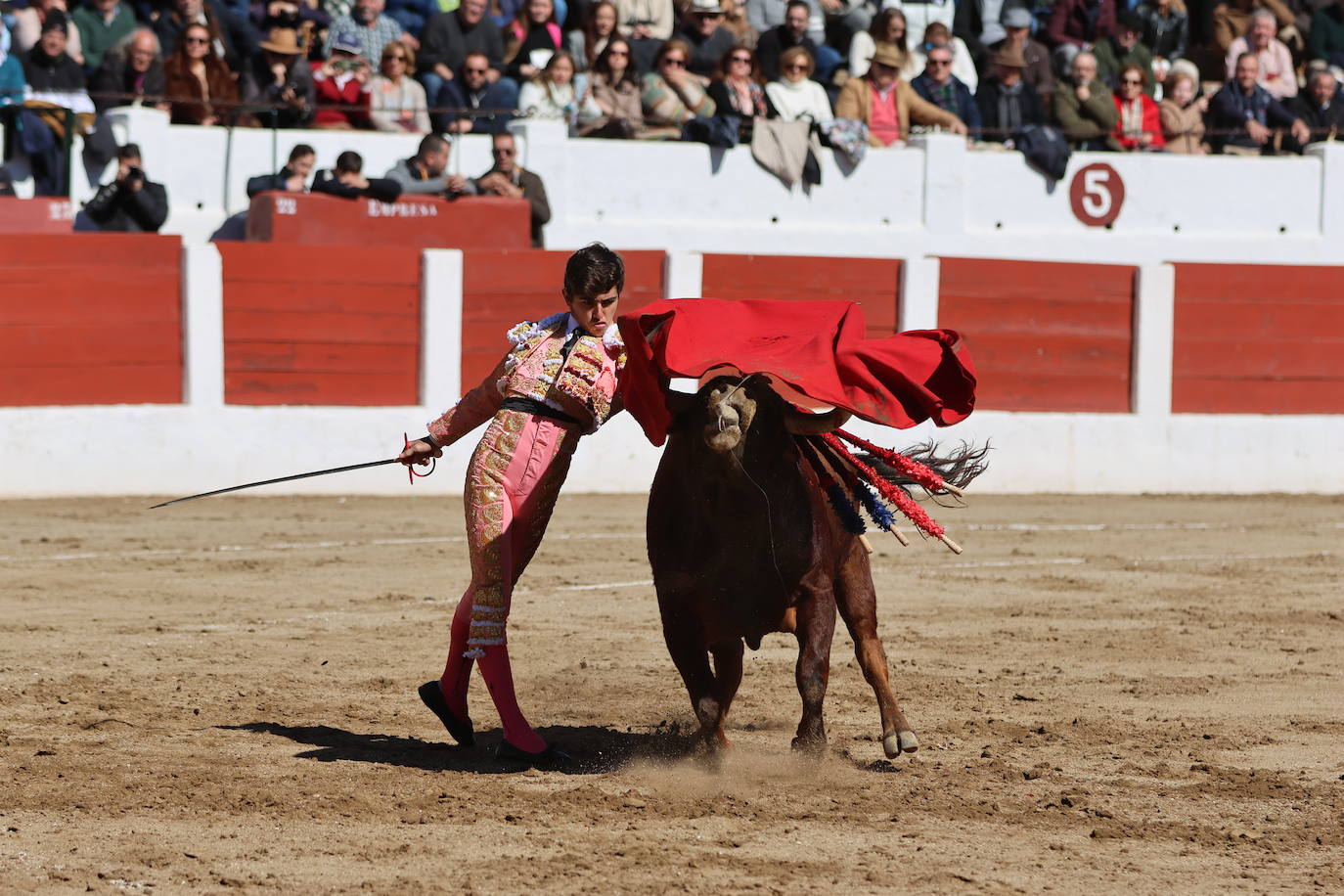 El triunfo de Manuel Román en su debú con picadores, en imágenes