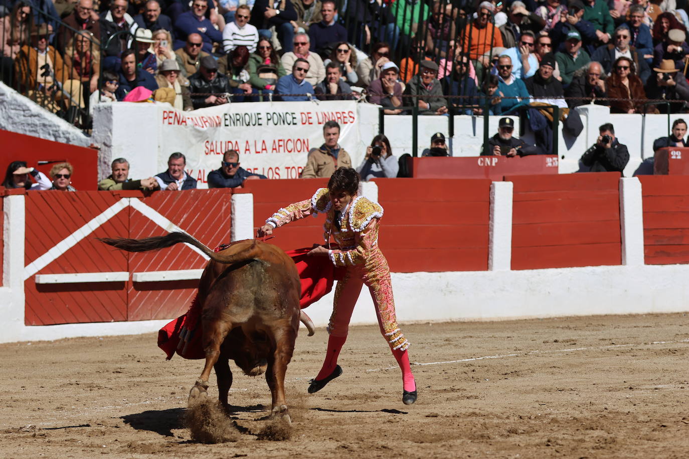 El triunfo de Manuel Román en su debú con picadores, en imágenes