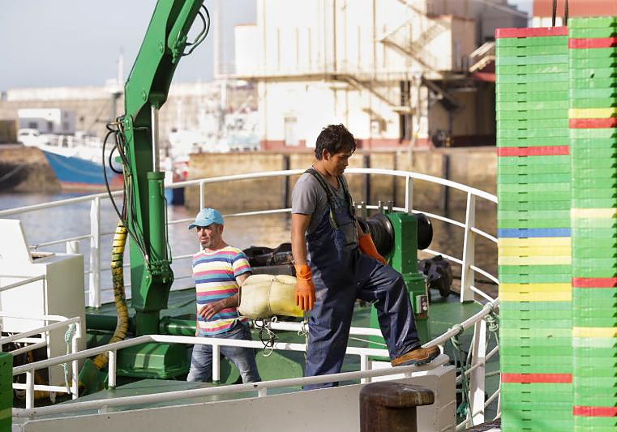 Trabajadores en el puerto de Burela (Lugo)