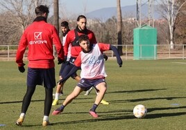 Córdoba CF | Armando Shashoua, baja de última hora y Carracedo es duda