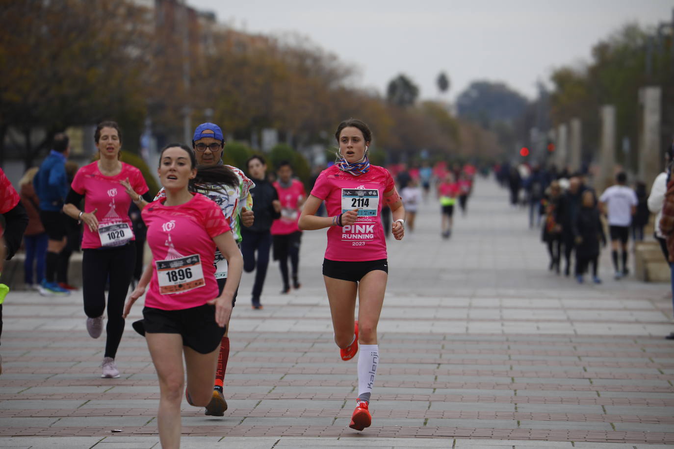 La populosa &#039;Pink Running&#039; en Córdoba, en imágenes