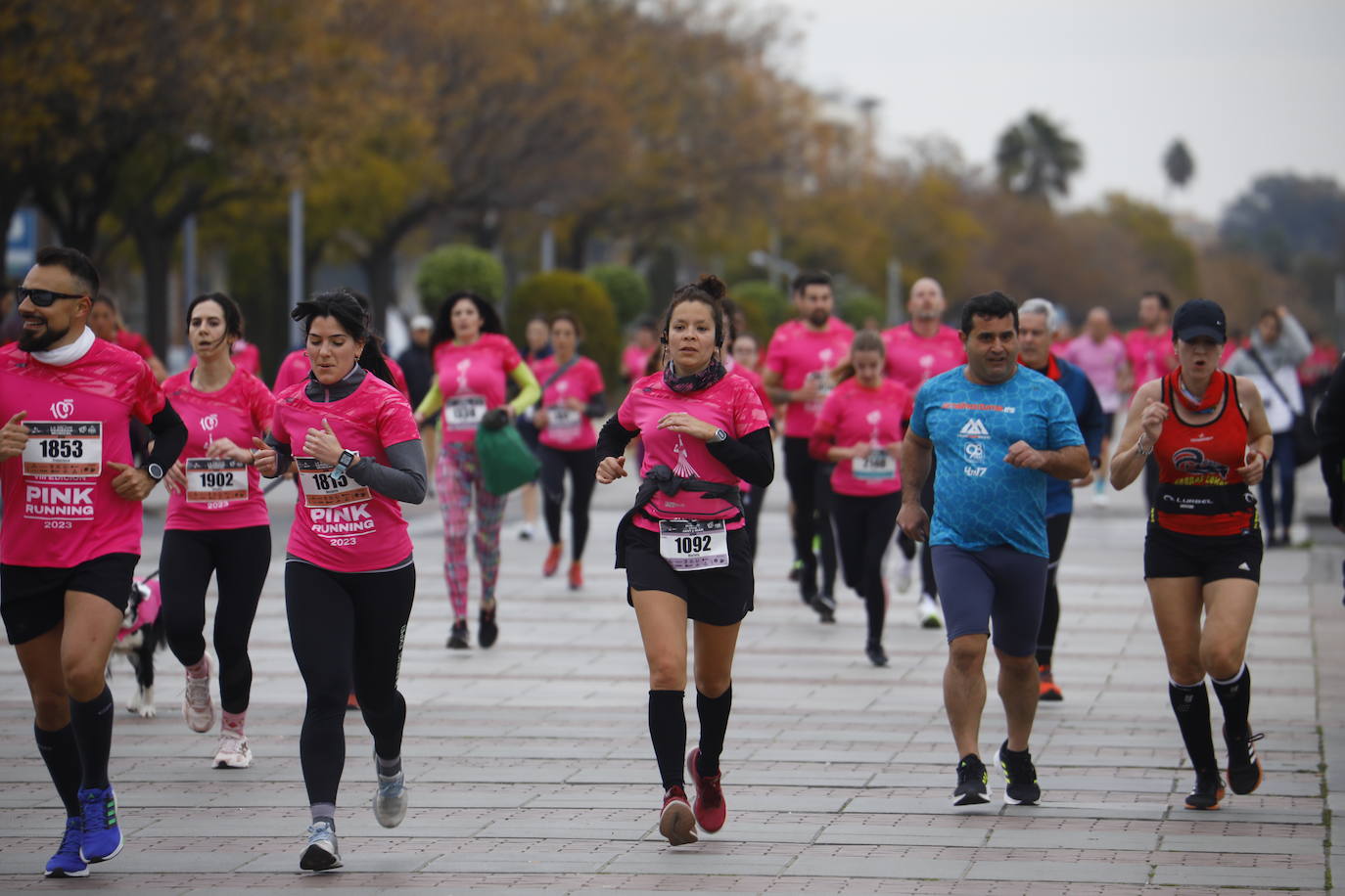 La populosa &#039;Pink Running&#039; en Córdoba, en imágenes