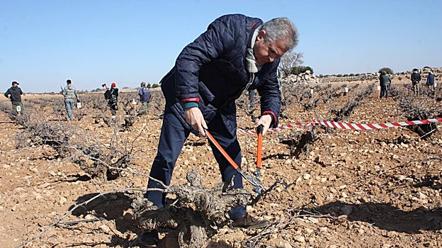 El alcalde de Miguel Esteban se anima con la poda