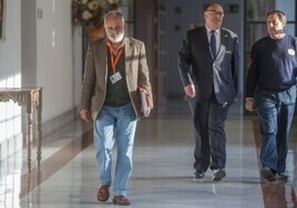 Sexo, fiestas y drogas: los otros Titos Berni de la corrupción andaluza