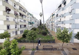 La Junta concede 5,1 millones en Córdoba para la rehabilitación de 720 viviendas del Parque Figueroa