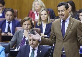 Tito Berni y el 'Sí es sí', los invitados más incómodos del PSOE en el Parlamento de Andalucía