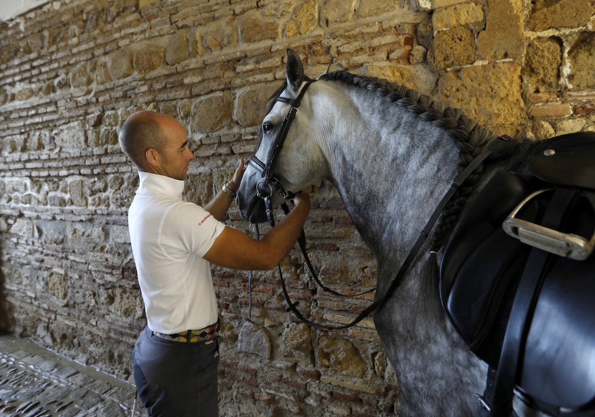 Trabajo en las Caballerizas Reales de Córdoba