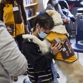 Terapia con perros contra la enfermedad mental en el Hospital del Henares: «Es mejor que un ansiolítico»