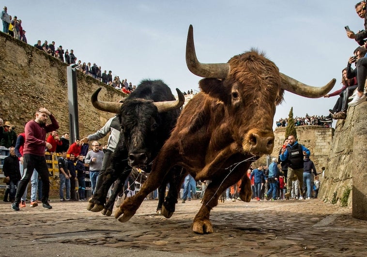 La tauromaquia, en la 'suerte' de modernizarse