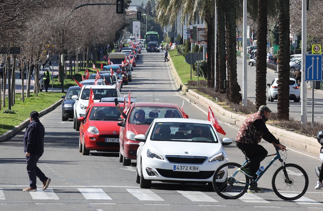 La caravana de protesta por la mejora del servicio de ambulancias en Córdoba, en imágenes