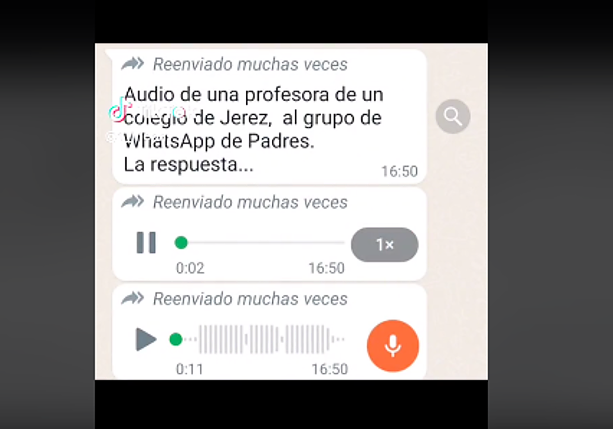 Captura de TikTok sobre el polémica audio