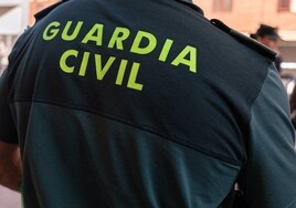 Detienen a un hombre en Almería por atropellar a sus exsuegros