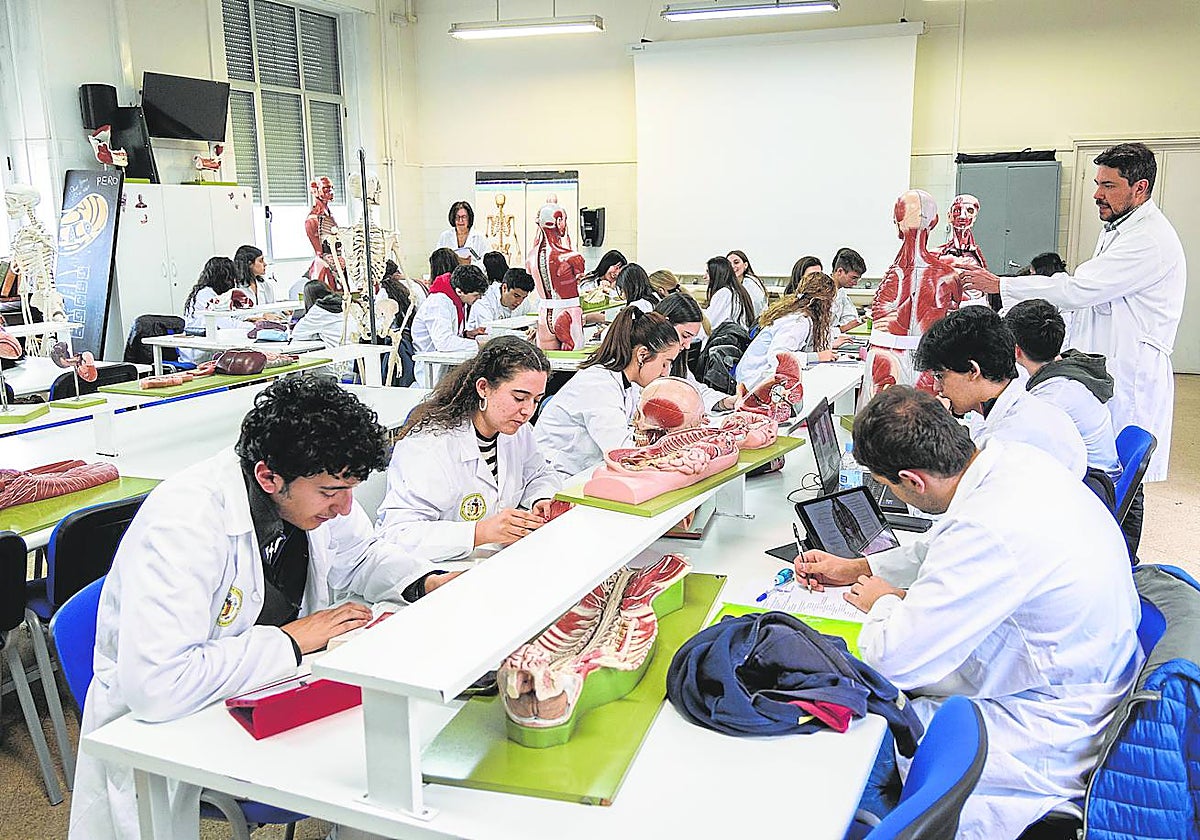 Alumnos en una clase de anatomía en la Facultad de Medicina de la Universidad de Valladolid