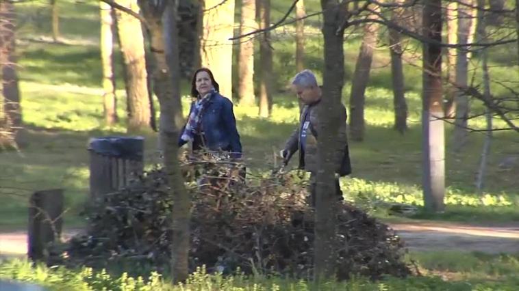 La procesionaria regresa con la primavera y obliga a extremar la vigilancia con perros y niños