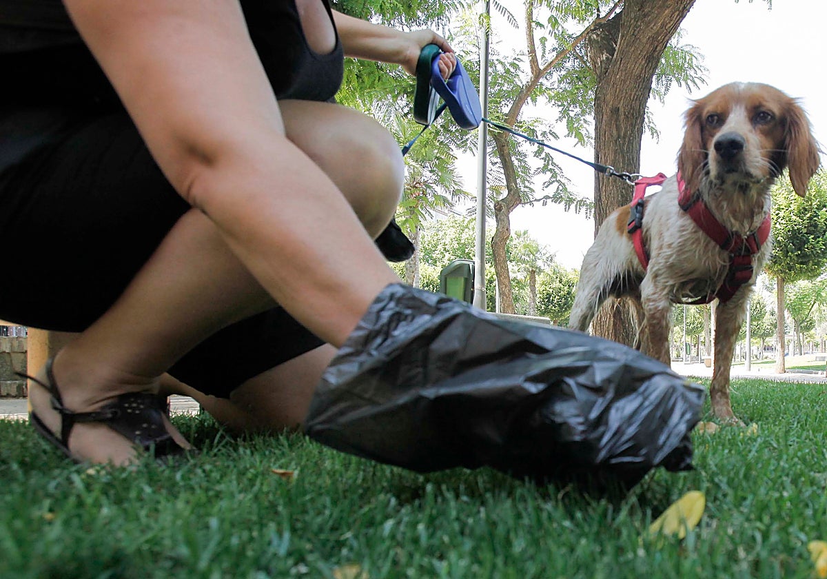 La dueña de un perro recoge sus excrementos