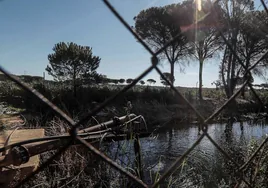 La UE amenaza con sanciones a España si el Gobierno andaluz aprueba el plan de riego en Doñana