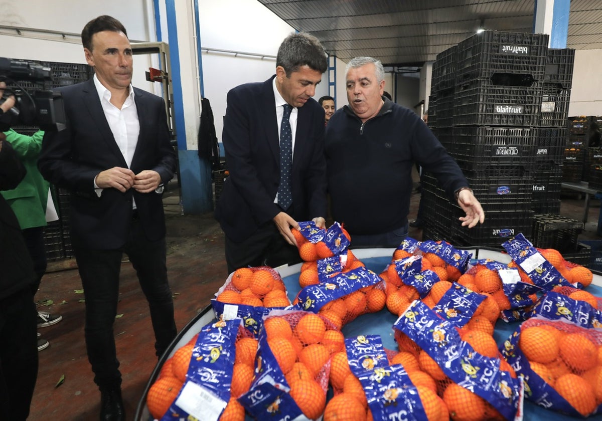 El presidente de la Diputación de Alicante, Carlos Mazón, en su visita de este miércoles a la Vega Baja.